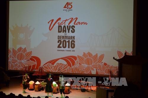 Célébration du 45ème anniversaire de la relation diplomatique Vietnam-Danemark - ảnh 1